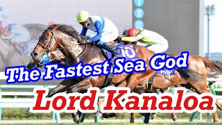 Lord Kanaloa（ロードカナロア） , introduce the great horse of Japan