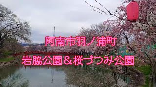 阿南市岩脇公園＆桜づつみ公園