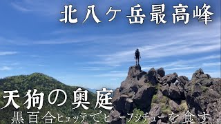 【登山#12 】まったりと天狗の奥庭散策！！念願の黒百合ヒュッテのビーフシチューをいただく