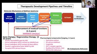 Novel therapies for Wolfram syndrome   Dr Fumihiko Urano