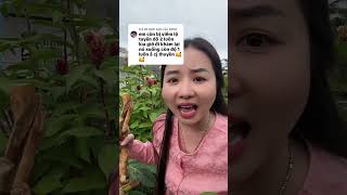 cách chữa viêm lộ tuyến độ 2