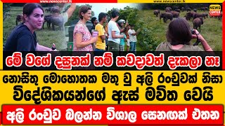 මේ වගේ දසුනක් නම් කවදාවත් දැකලා නෑ | නොසිතු මොහොතක මතු වු අලි රංචුවක් නිසා විදේශිකයන්ගේ ඇස් මවිතවෙයි