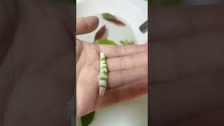 一張餐巾紙，做一個會動的毛毛蟲This moving caterpillar is made out of a napkin!