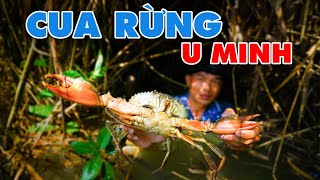 Nhật Ký Rừng U Minh - Tập 2 : Gặp Cua Siêu To Ở Rừng U Minh