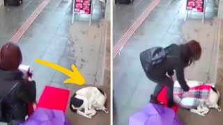 Camera Catches Surprising Interaction Between a Woman and Stray Dog Blocking The Door