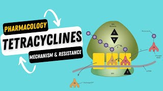 TETRACYCLINES - Mechanism of Action \u0026 Antimicrobial Activity - Resistance | KATZUNG PHARMACOLOGY