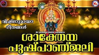 വിഷ്ണുമായ ഭക്തിഗാനങ്ങൾ | Hindu Devotional Songs Malayalam | Vishnumaya Devotional Songs Malayalam