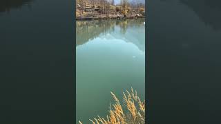 Sissu lake : manali to Sissu via Atal tunnel #peacefulmusic #naturesounds #roadtrip #lakes #love