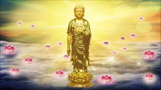 南無阿彌陀佛 Amitabha 나무아미타불 พระอมิตาภพุทธะ A di đà 六字洪名 字字清楚 攝心念佛版 文德恭誦