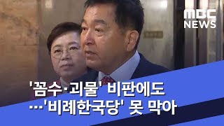 '꼼수·괴물' 비판에도…'비례한국당' 못 막아 (2019.12.21/뉴스투데이/MBC)