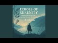 Still Echo