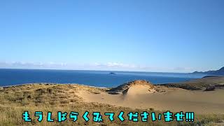 【鳥取砂丘】【Tottori Sand Dunes 】 #70（広さ日本第2位の鳥取砂丘) ラクダさんも待っています。風紋も綺麗です。ぜひ観光にお越し下さい。(山陰海岸国立公園特別保護地区)