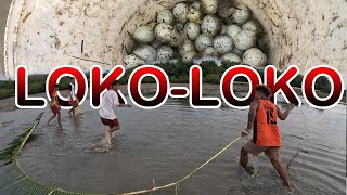 NAKATILAW NAMUG LOKO-LOKO AGAWN?