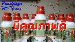 โสมแดง อาหารชูกำลังพืช สนใจติดต่อ 099-4868566