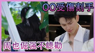 🌸周也唱歌導致OO割到手？任性不听劝爬樹嚇壞人 | 五十公里桃花塢 |綜劇安利社