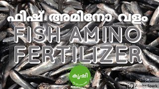 ഫിഷ് അമിനോ ആസിഡ് ഉപയോഗിക്കുന്ന വിധം - usage of fish amino acid ഫിഷ് അമിനോ ആസിഡ് ഉപയോഗിക്കുന്ന വിധം - usage of fish amino acid