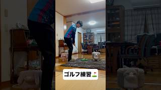 緊張するゴルフ練習⛳️🏠#shorts