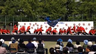 大阪芸術大学よさこい×結び　こいや祭り2013　福島よってこいや祭り会場