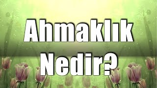 Mustafa Toköz - Ahmaklık nedir?