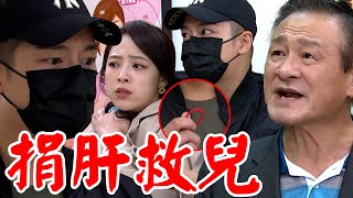 一家團圓│EP179預告 承恩需捐肝救兒準備轉白？明月揪學長一夜情有量求和好 Family Reunion│ Vidol.tv