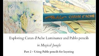 Exploring Caran d'Ache Luminance and Pablo pencils - part 2 - Pablo pencils for layering