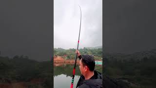 短竿钓青鱼！ #钓鱼 #钓鱼人 #fishing #户外钓鱼