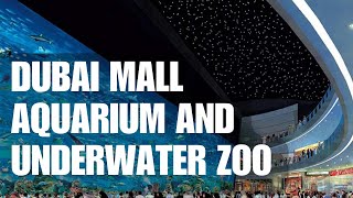 Dubai Aquarium And Underwater Zoo | Best place to visit in Dubai mall