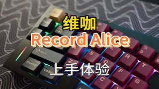 《铝战铝胜》E54：质感不错，性价比高——维咖Record Alice体验