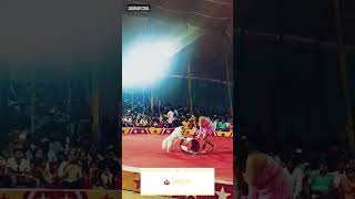 Rajgir malmas mela circus show @KORDHELL #status  #viral #shorts #trending  #mela#rajgir#rajgir