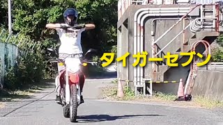 【バイク変身やってみた #18】鉄人タイガーセブン🐯