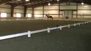 dvcta schooling show