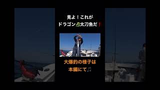 みんなドラゴン太刀魚って知ってる？太刀魚の聖地豊後水道なら、ドラゴン太刀魚も夢じゃない🎵#太刀魚 #太刀魚釣り #ドラゴン #豊後水道 #釣り #船釣り #yanmer #ヤンマー