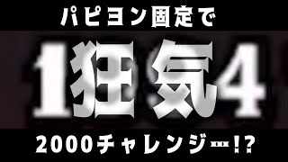 【城ドラ】”パピヨン”固定でつよｐ2000チャレンジ!?!?【城とドラゴン|タイガ】