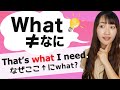 英語こと・ものWhatの意味と使い方！英会話初級者向け文法レッスン