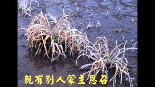 12 莫把我棄 PASS ME NOT, O GENTLE SAVIOUR(演奏曲七)