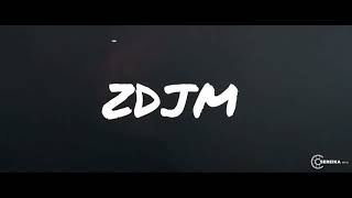 Florin salam (#1) (ZDJ Music Remix)