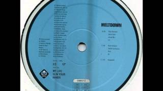 Meltdown - My Life Is In Your Hands (Blue Amazon 20/20 Confucion Dub)