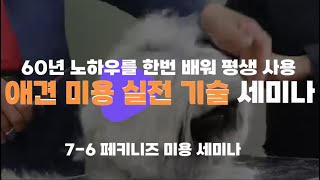 60년 노하우를 한번  배워서 평생 사용하는 애견 미용 실전 기술 세미나 ! 20