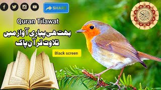 quran tilawat  | best surah in quran | new voice 2024