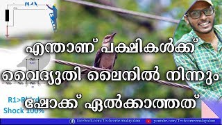 ലൈനിൽ ഇരിക്കുന്നെ പക്ഷികൾക്ക് എന്തുകൊണ്ട് ഷോക്ക് അടിക്കുന്നില്ല | Why birds don't get electric shock