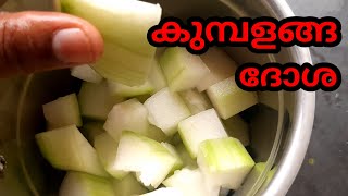 കുമ്പളങ്ങയുടെ ഗുണങ്ങൾ ഒന്നും നഷ്ടമാകാതെ ഒരു Breakfast Recipe | ashguard dosa| tasty kumbalanga dosa