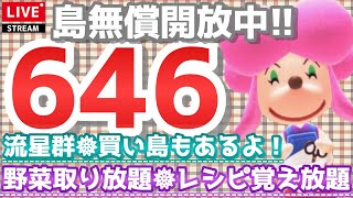 【あつ森】初見さん歓迎です　「646ベル」「流星群」の島開放中！【カブ価】【あつ森 参加型】