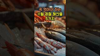 11월 제철 해산물 5가지 #건강정보 #건강지식