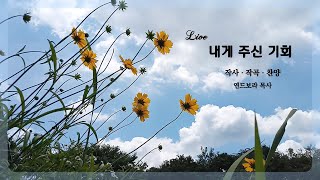 내게 주신 기회 | 자작곡 #4 | 작사·작곡·찬양 연드보라 목사