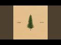 Tree Tops