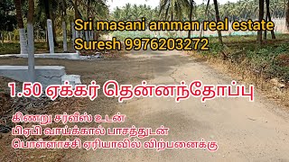 369 ) 1.50 ஏக்கர் தென்னந்தோப்பு கிணறு சர்வீஸ் பிஏபி வாய்க்கால் பாசத்துடன் பொள்ளாச்சி ஏரியாவில்