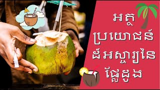 អត្ថប្រយោជន៍ដ៏អស្ចារ្យនៃផ្លែដូង - Benefit of Coconut - ចំណេះដឹងទូទៅ - Kid Knowledge - Kids Learning