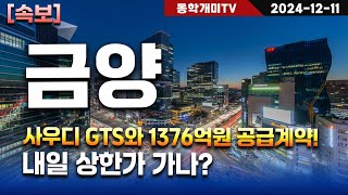 금양-사우디 GTS와 1376억원 공급계약! 내일 상한가 가나?