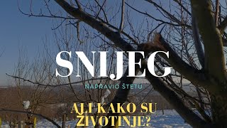 PROVJERA VOĆNJAKA I ŽIVOTINJA POSLIJE VELIKOG SNIJEGA – IMA LI ŠTETE?