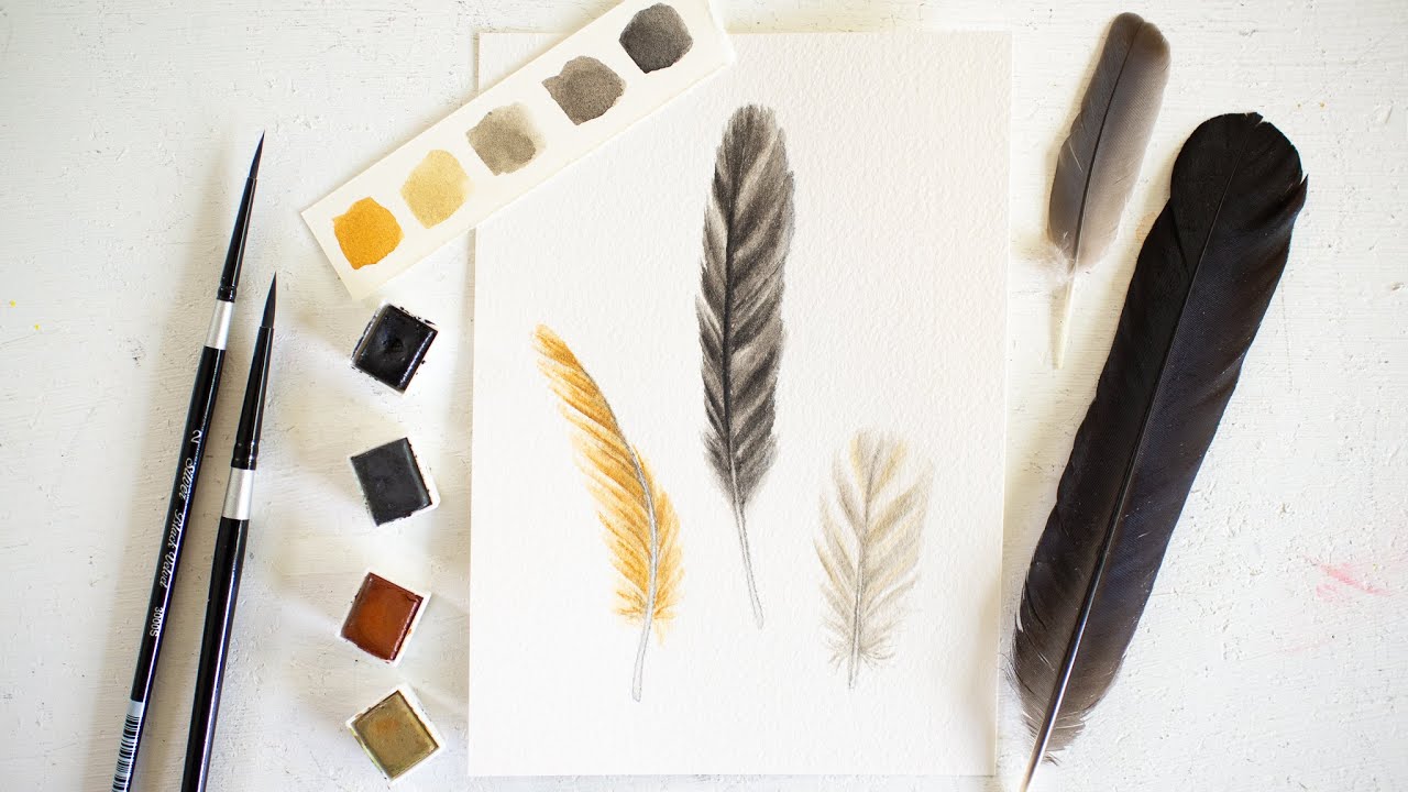 How To Paint Watercolor Feathers Tutorial | Watercolor Painting For ...